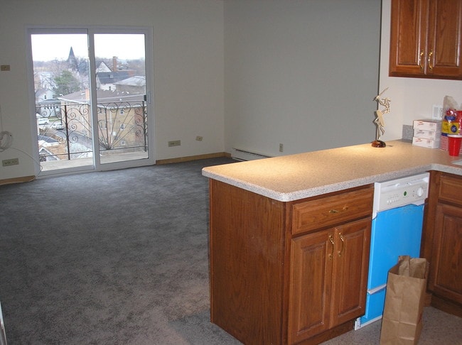 115 Marengo Ave, Unit 601 in Forest Park, IL - Foto de edificio - Building Photo