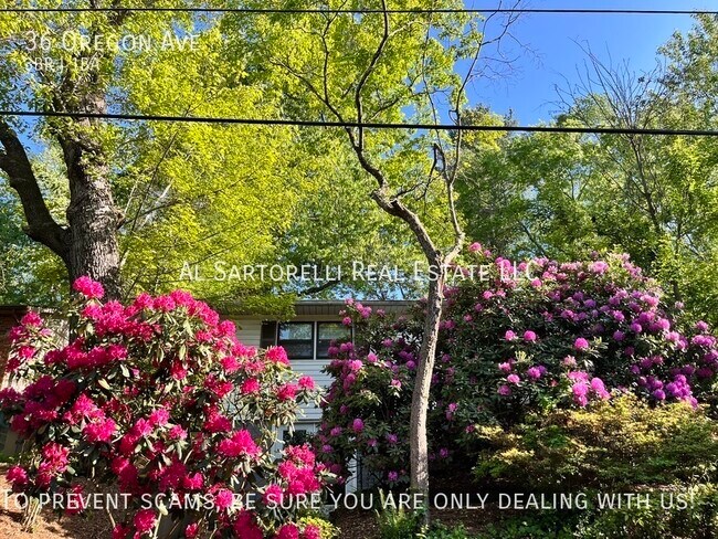 property at 36 Oregon Ave