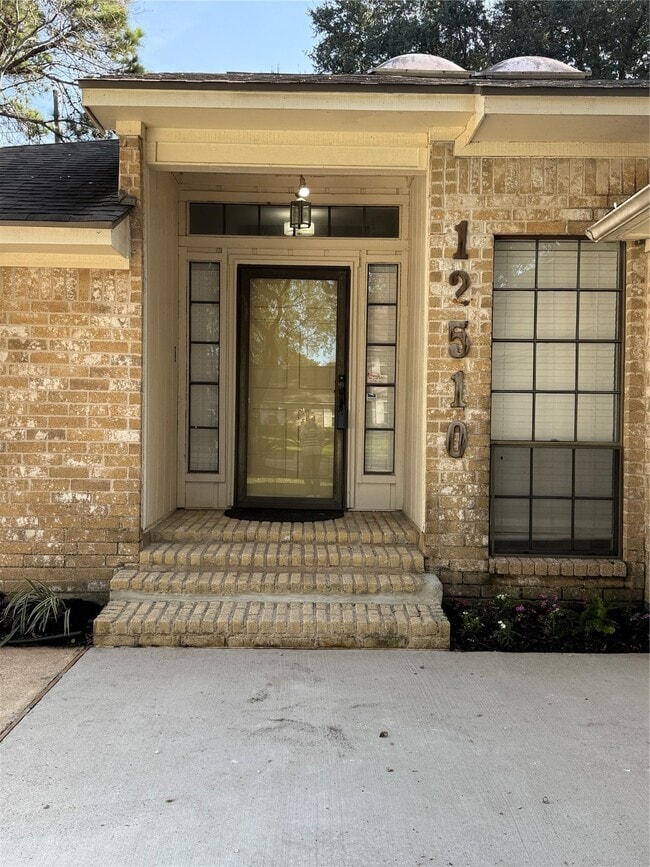 12510 Mill Ln Dr in Houston, TX - Foto de edificio - Building Photo