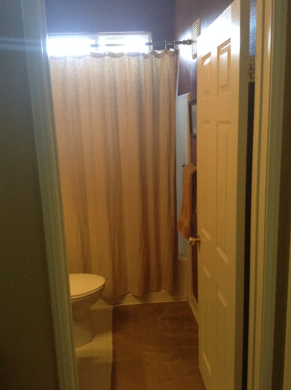 6621 Santa Isabel St in Carlsbad, CA - Building Photo - Building Photo