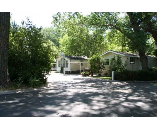 233 Arrowhead Dr in Carson City, NV - Foto de edificio - Building Photo