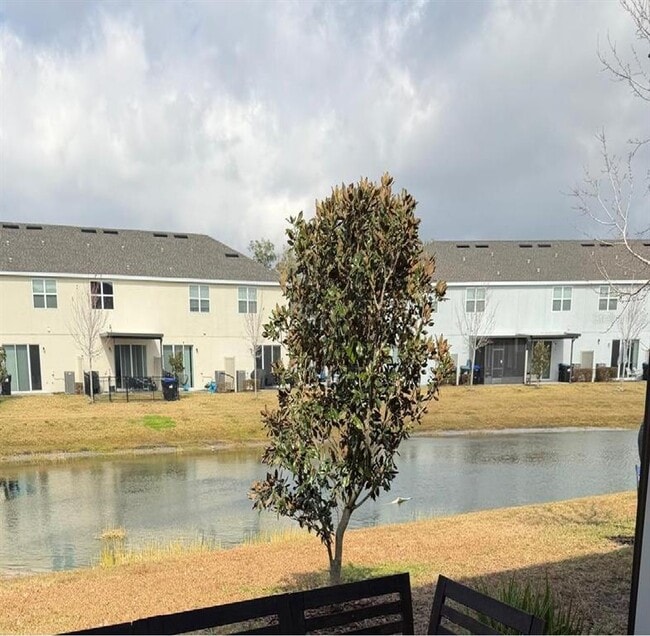 10597 Salt Grove St in Orlando, FL - Building Photo - Building Photo