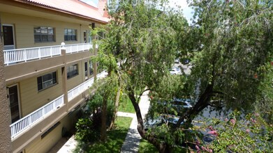 2402 Ecuadorian Way in Clearwater, FL - Building Photo - Building Photo