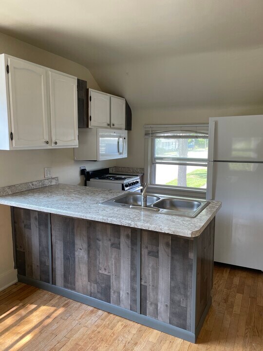 507 E Michigan St in Mt. Pleasant, MI - Building Photo