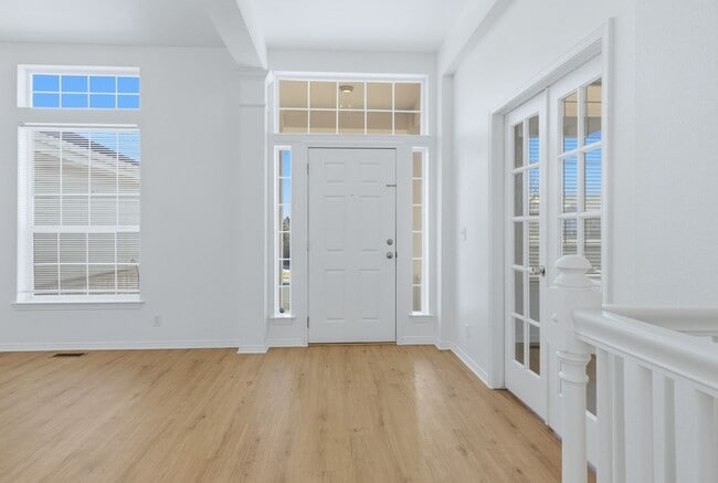 1037 Purple Sage Loop in Castle Rock, CO - Building Photo - Building Photo