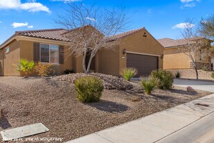 1466 Sunshine Ct in Mesquite, NV - Building Photo