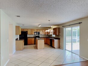 17003 Odessa Dr in Land O Lakes, FL - Building Photo - Building Photo