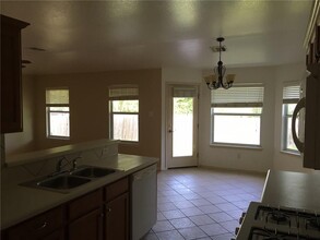 3557 Sandy Koufax Ln in Round Rock, TX - Building Photo - Building Photo