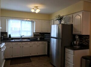 553 W Park Ave, Unit A in Libertyville, IL - Building Photo - Building Photo