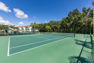 Portofino Apartments in Tampa, FL - Foto de edificio - Building Photo