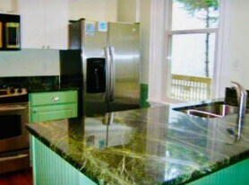 48 Alleghany St, Unit 1 in Boston, MA - Building Photo