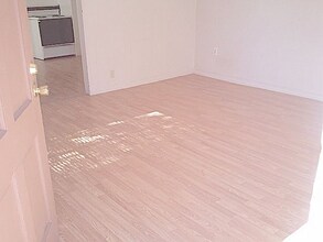 203 N 13th St in Las Vegas, NV - Building Photo - Building Photo