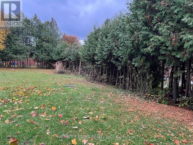 43 Maple Grove Ave in Richmond Hill, ON - Building Photo - Building Photo