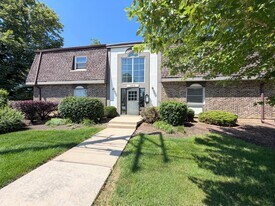 889 Trace Dr in Buffalo Grove, IL - Building Photo