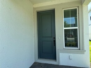 10355 Parkview Reserve Ln in Orlando, FL - Building Photo - Building Photo