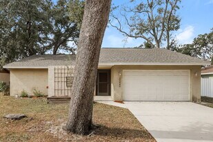 3222 Las Brisas Dr in Riverview, FL - Building Photo