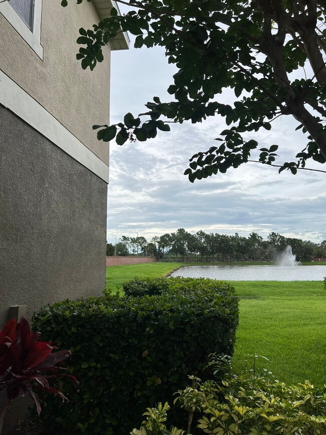 property at 2047 Estancia Cir