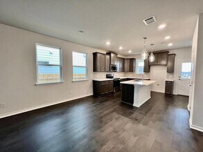 172 Breccia Trl in Liberty Hill, TX - Building Photo - Building Photo