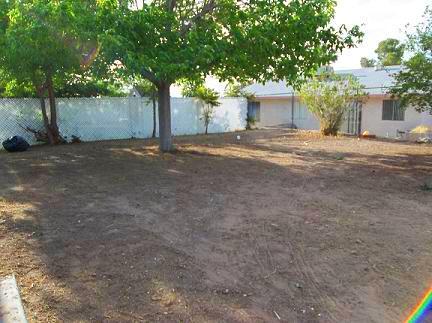 213 Ash St in Henderson, NV - Foto de edificio - Building Photo