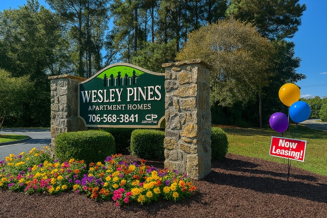 Wesley Pines in Columbus, GA - Building Photo - Building Photo