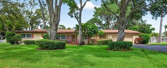 7 Eagle Ln in Palm Harbor, FL - Building Photo