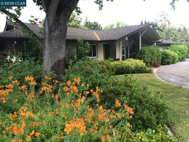 171 Via Bonita in Alamo, CA - Building Photo - Building Photo