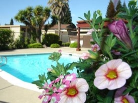 The Place Apartments in Yuba City, CA - Building Photo