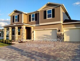 9985 Sunrise Vw Ct in Seffner, FL - Building Photo