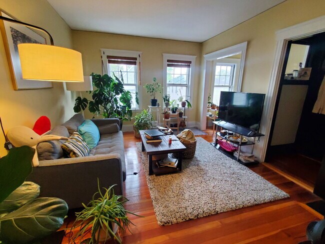 19 Edward Sullivan Rd in Cambridge, MA - Building Photo - Building Photo