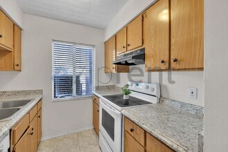 7518 Needle Leaf Pl in Tampa, FL - Foto de edificio - Building Photo