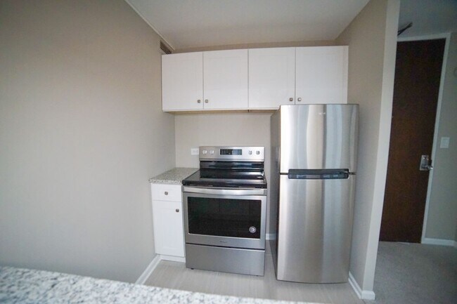 233 E Erie St in Chicago, IL - Foto de edificio - Building Photo