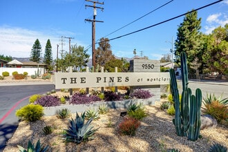 The Pines Apartments in Montclair, CA - Building Photo - Building Photo