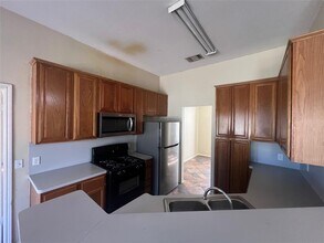 1805 Whirlwind Trail in Round Rock, TX - Building Photo - Building Photo