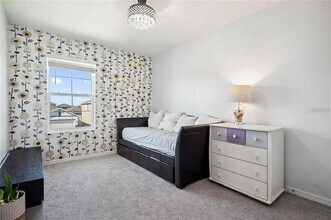 16051 Soft Fern Trce in Odessa, FL - Building Photo - Building Photo