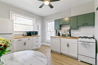 1073 N Downing St, Unit SI ID1026252P in Denver, CO - Building Photo - Building Photo