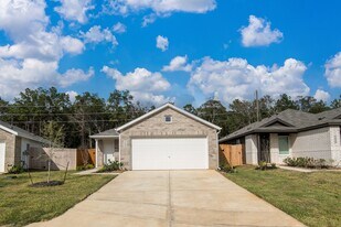 14825 N Ascot Bnd Cir in Conroe, TX - Building Photo