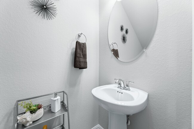 1906 Texas Live Oak Ct