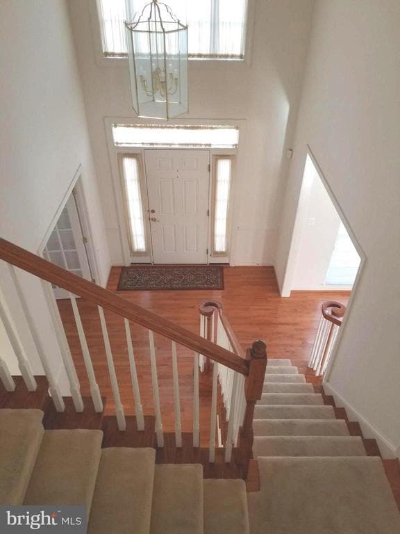 4415 Medallion Dr in Silver Spring, MD - Building Photo - Building Photo