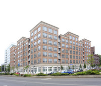 UConn Student Housing At Rippowam Place in Stamford, CT - Foto de edificio - Building Photo