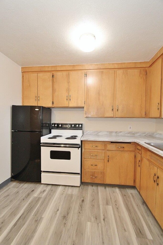 419 NE 3rd St in Meridian, ID - Building Photo - Building Photo