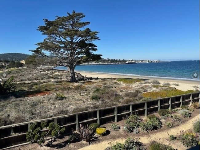 1 La Playa St in Monterey, CA - Building Photo - Building Photo