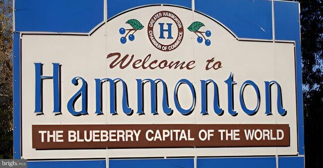 42 Michael Rd in Hammonton, NJ - Foto de edificio - Building Photo