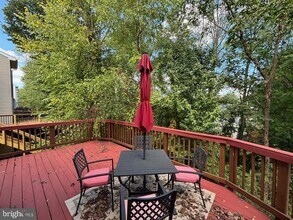 20467 Blue Heron Terrace in Sterling, VA - Building Photo - Building Photo