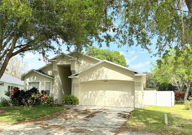 10478 Lucaya Dr in Tampa, FL - Building Photo - Building Photo