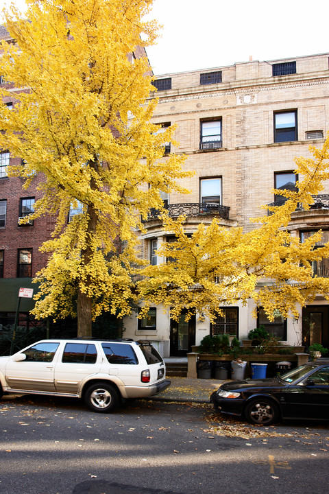 14 Pierrepont St in Brooklyn, NY - Foto de edificio