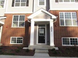 202 Timberleaf Cir in Roselle, IL - Building Photo