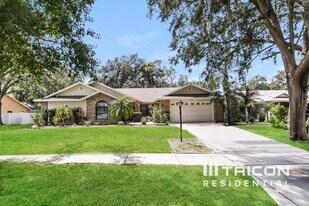 3906 Broomsedge Ln in Valrico, FL - Building Photo