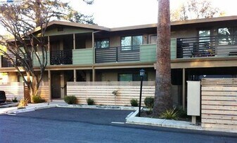 50 Casa Maria Ct, Unit C in Alamo, CA - Building Photo