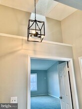 14320 Winding Woods Ct in Centreville, VA - Building Photo - Building Photo