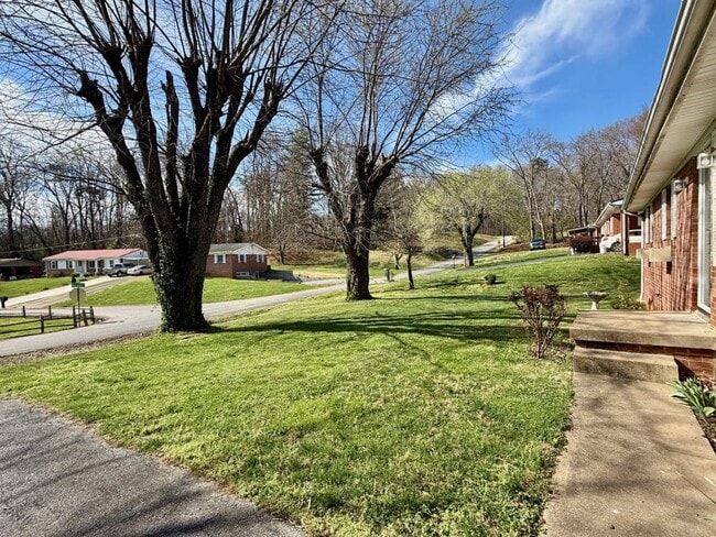 180 Decatur St in Greeneville, TN - Building Photo - Building Photo